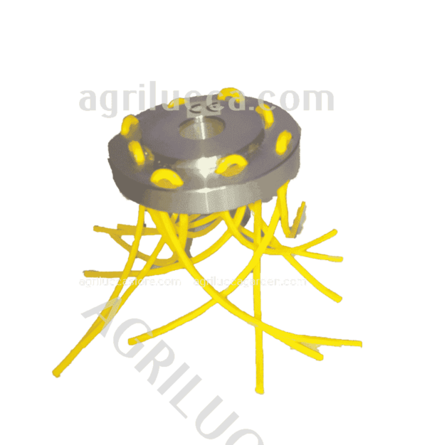 alt=testina facile spazzola